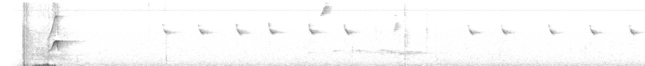 kolibřík bělobřichý - ML376969231