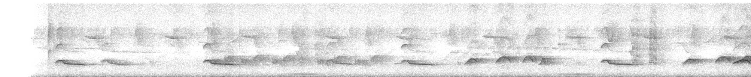 Rufous-tailed Attila - ML376977391