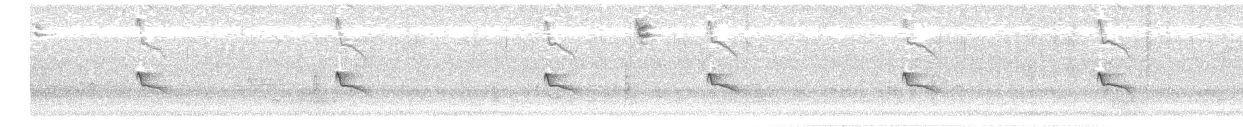 Black Phoebe - ML377026291