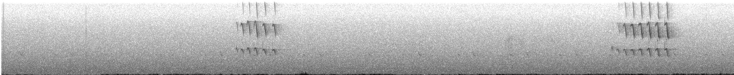 Chevêchette australe - ML377061371
