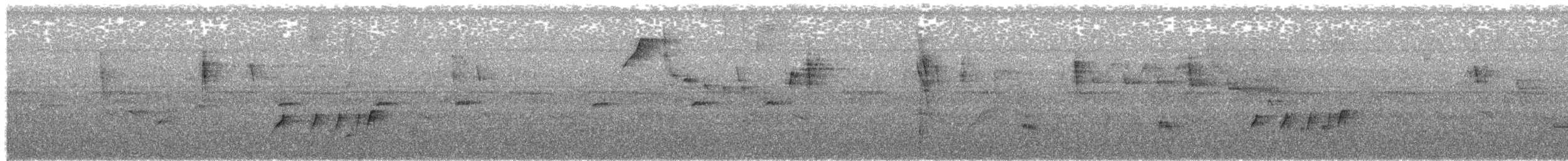 ハイガシラコタイランチョウ - ML377201451