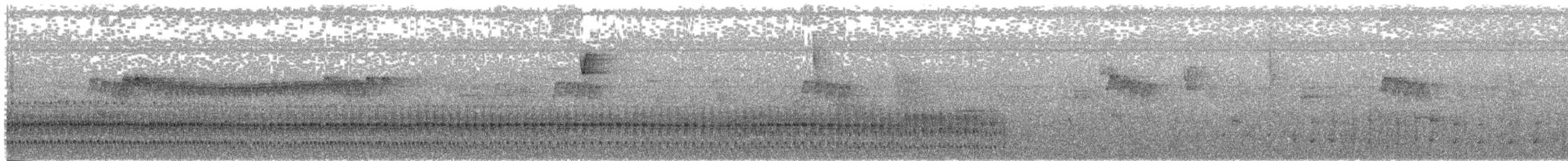 chřástal venezuelský - ML377278601