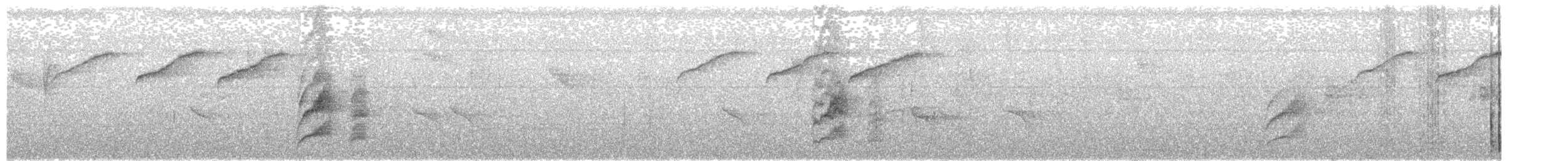 Lesser Kiskadee - ML377294731