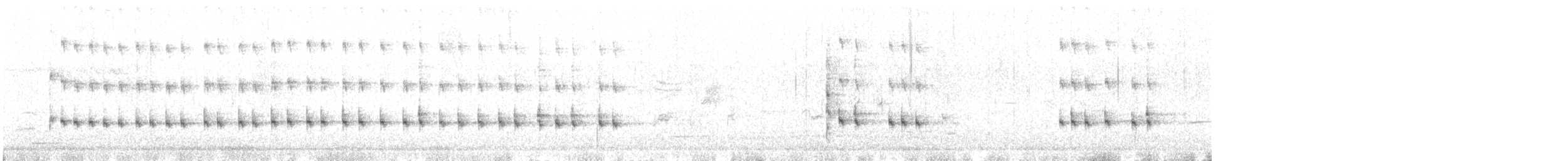 Virginia Rail - ML377320861