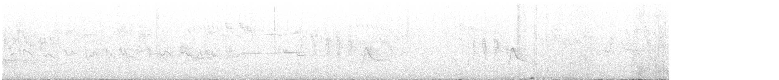 White-eared Monarch - ML377550731