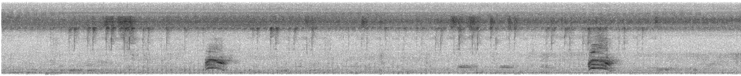 Ashy Prinia - ML377638601