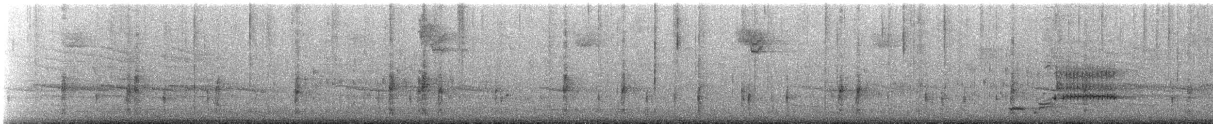 Marsh Wren - ML377678141