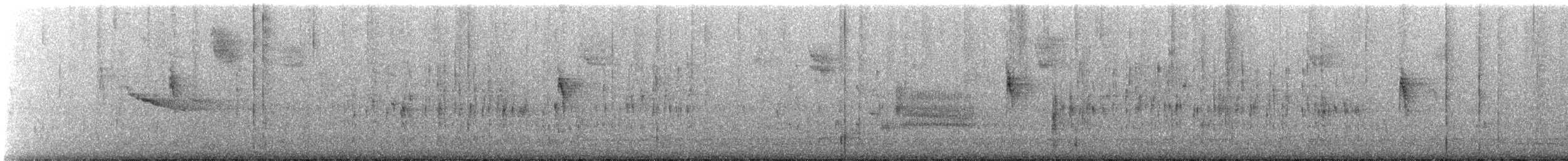 Marsh Wren - ML377678171