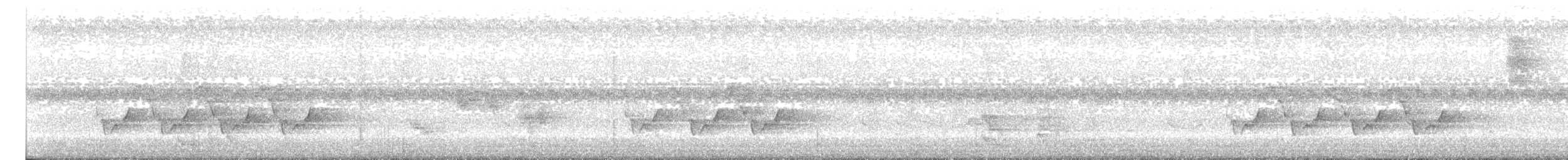 Поплітник каролінський - ML377944911