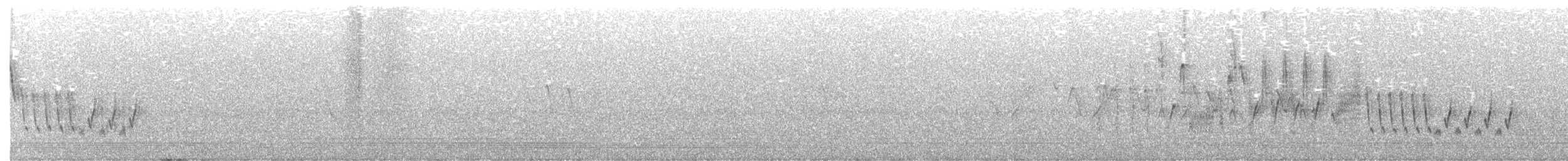 Northern House Wren - ML377972411