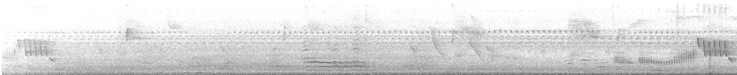 Northern House Wren - ML377996071