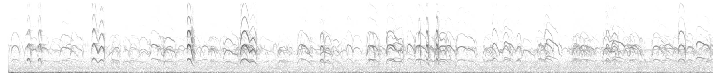 Black-fronted Tern - ML378085941