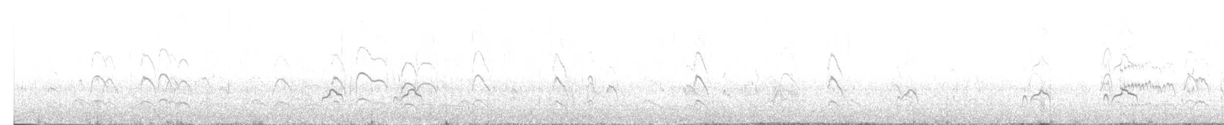 Black-fronted Tern - ML378088941