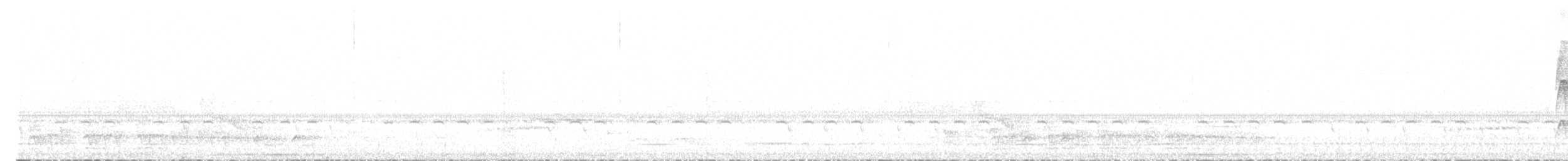 Лопатодзьоб білогорлий - ML378455021