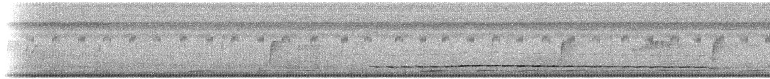 Roststirn-Ameisendrossel - ML378581531