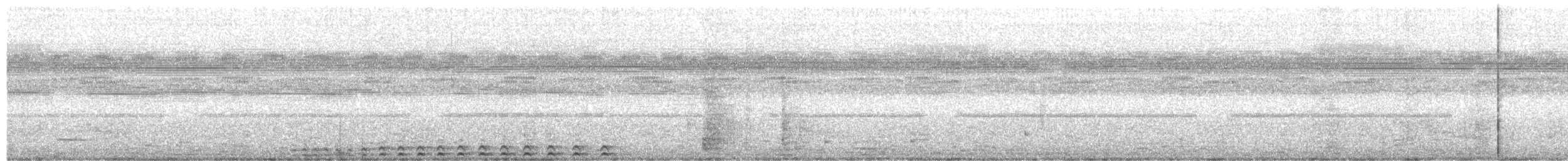 Pacific Screech-Owl - ML378647981