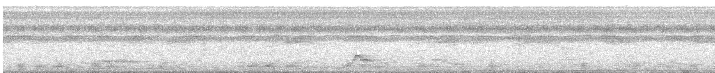 Common Pauraque - ML378710201