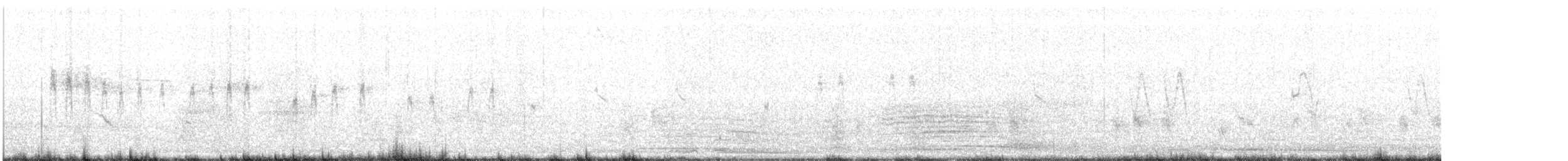 Lavandera Blanca (leucopsis) - ML37874511