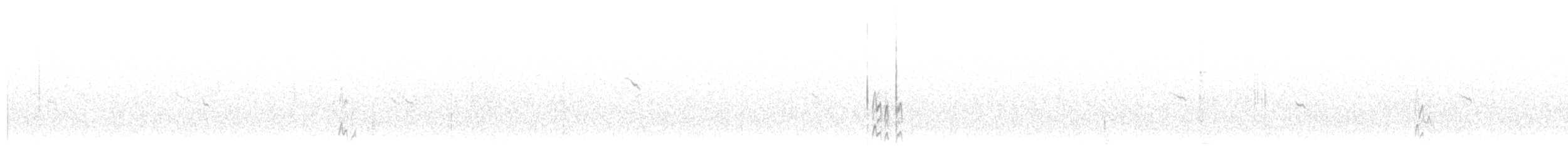 Chestnut-collared Longspur - ML37874951