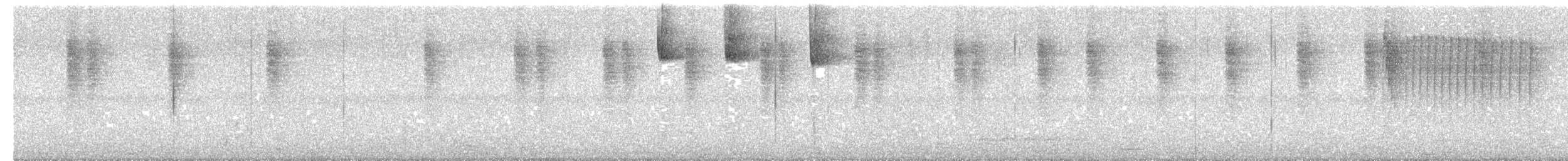 Moucherolle cannelle (cinnamomeus/pyrrhopterus) - ML378779801