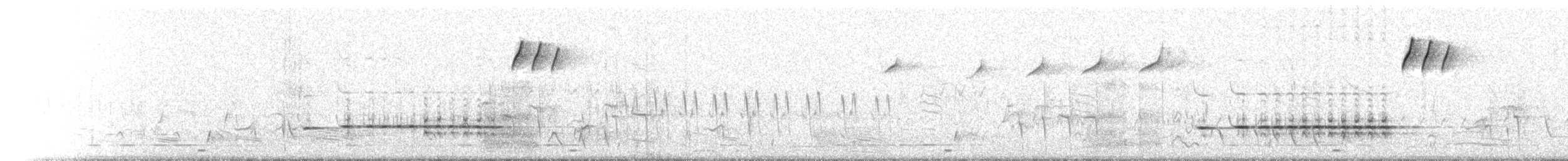 Chestnut-breasted Quail-thrush - ML378904891