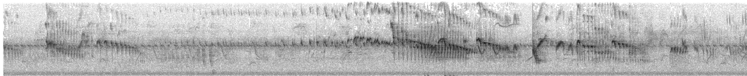 Haussegler [affinis-Gruppe] - ML378935251