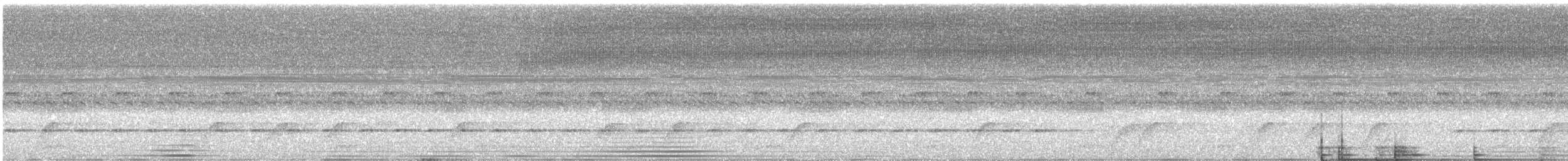 Rufous Nightjar - ML378935381