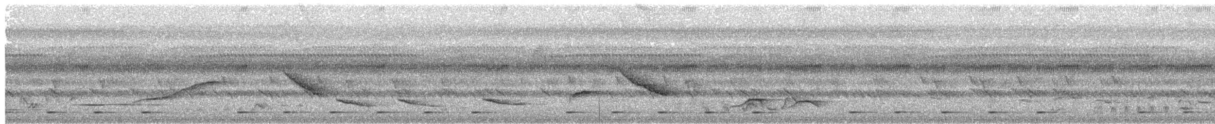 Акалат білобровий (підвид polioptera) - ML379045071