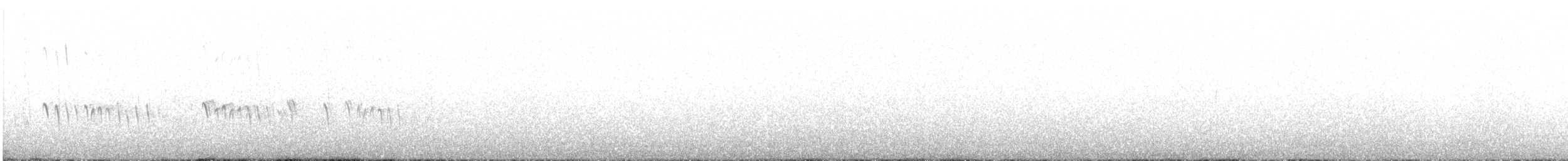 Трясохвіст острівний - ML379269101