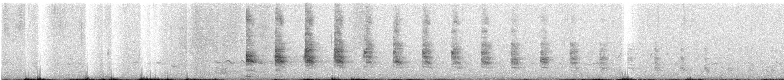 Kral Sukılavuzu (elegans) - ML379433061