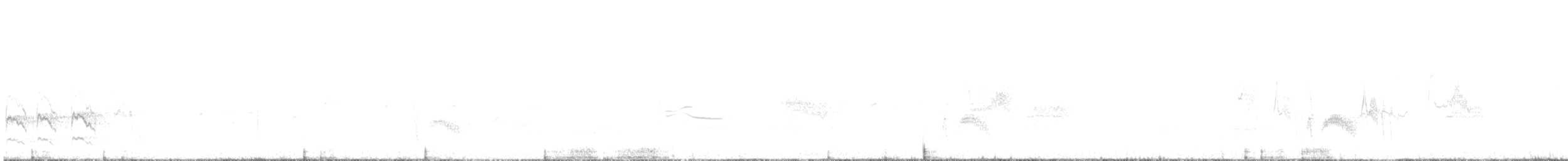 Серогрудый тиранн - ML379500161