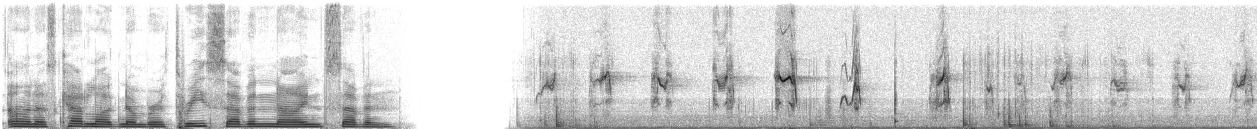 stivhaleand - ML3797