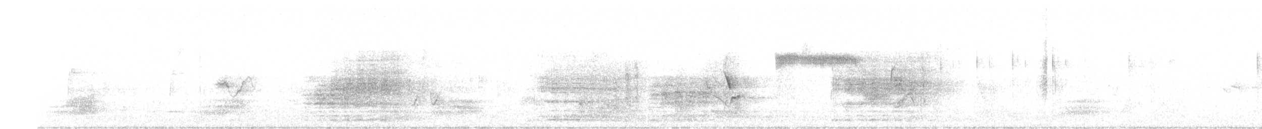 Пасовка співоча (підвид montana/merrilli) - ML379776161
