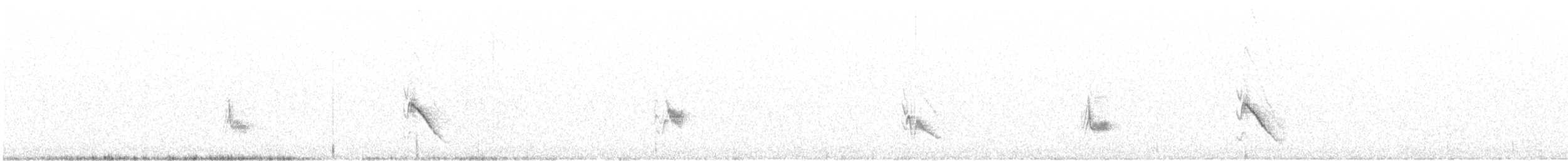 Gray Vireo - ML379825741