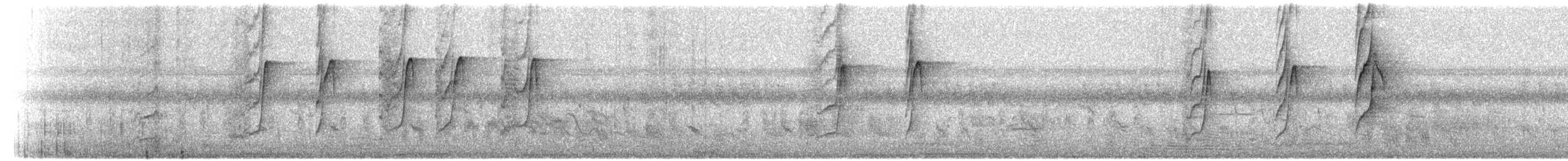 Rostflügel-Maskentyrann - ML379930741