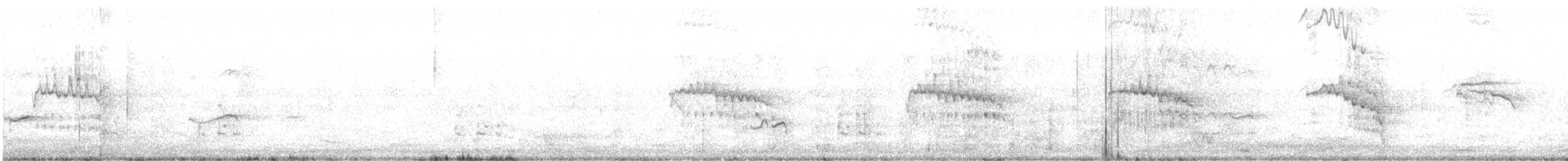 紐澳紅嘴鷗(novaehollandiae/forsteri) - ML379985011