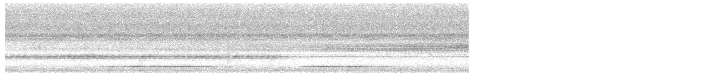Tinamou à gorge blanche - ML379988561