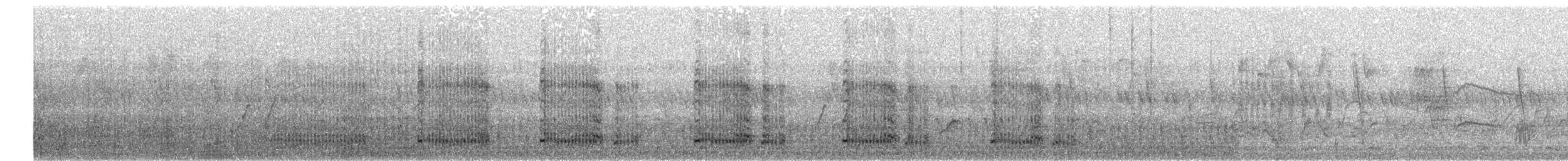 Rotkehlfrankolin (cranchii/harterti) - ML380003511