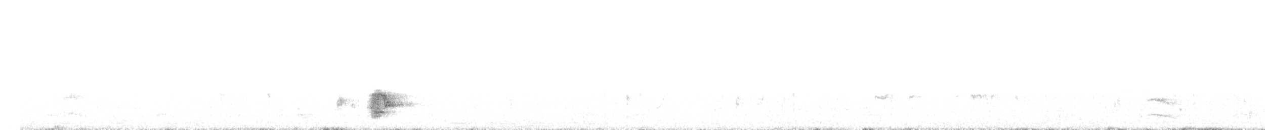 キゴシツリスドリ（cela） - ML380006581