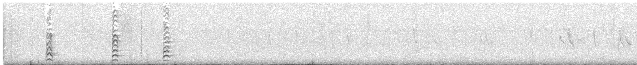 Noisy Friarbird - ML380029381