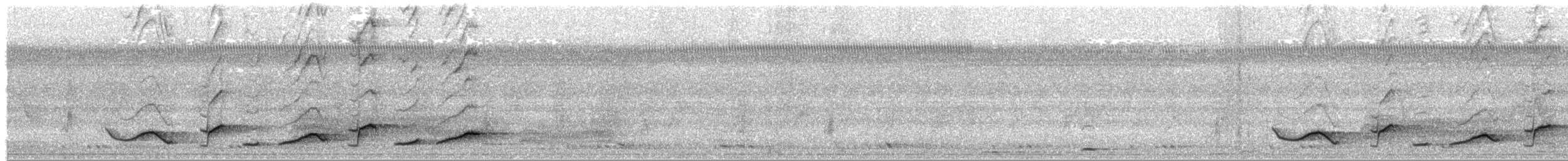 Maun Başlıklı Gevezeardıç - ML380029531
