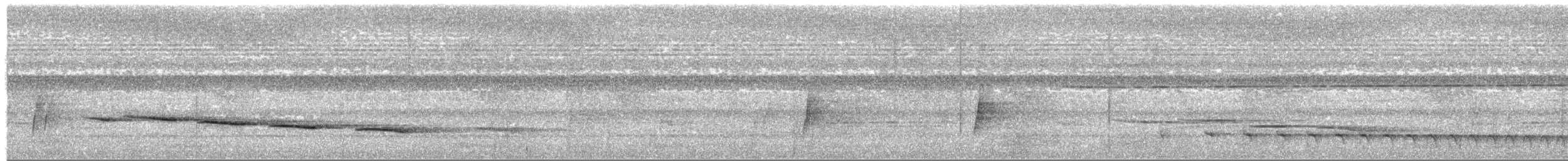 Усатый шелкопёр - ML380036711