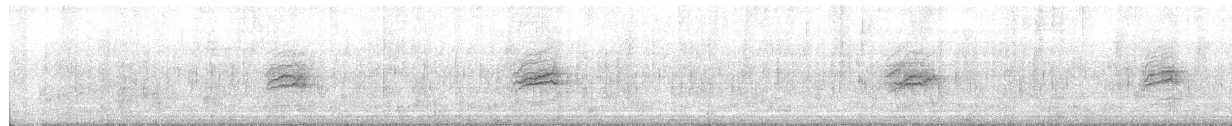 Дрізд-короткодзьоб плямистоволий - ML380040251
