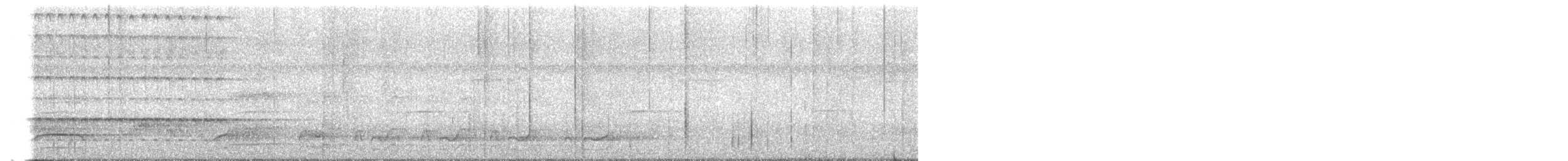 Malabar Gray Hornbill - ML380057591