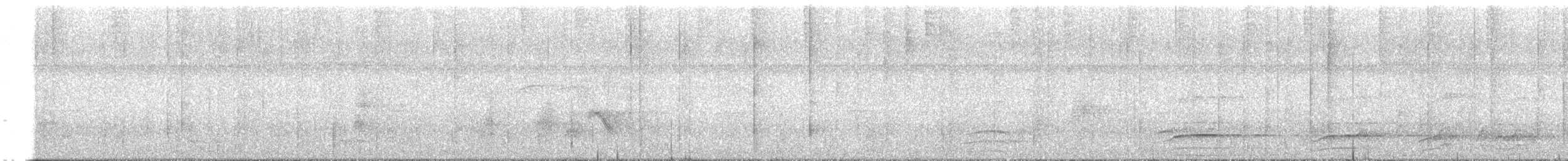 Malabar Gray Hornbill - ML380058471