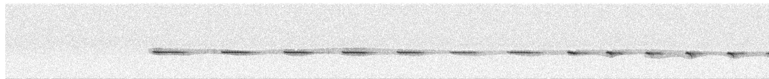 Küçük Notura Tinamusu - ML380089281