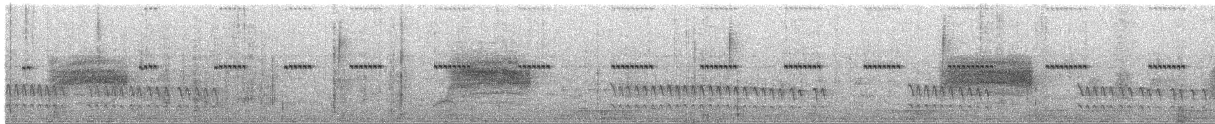 Zimtrücken-Ameisenfänger - ML380119161