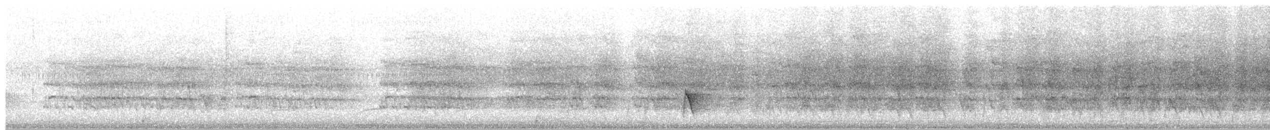 Weddellsittich - ML380123131