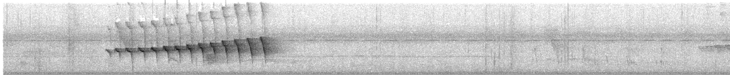 Kara Gerdanlı Karıncakuşu - ML380124261