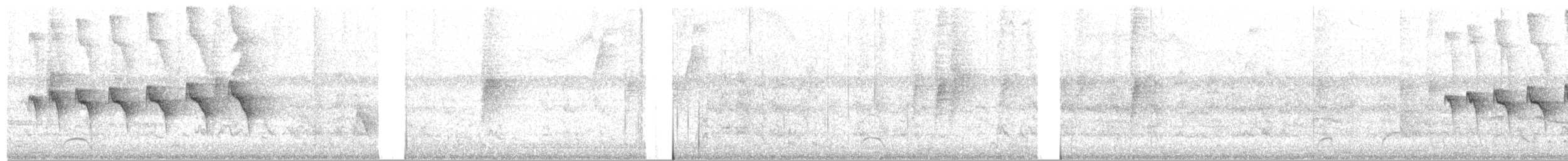 Kara Gerdanlı Karıncakuşu - ML380124411